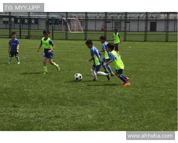 虎踢足球的奇妙旅程揭秘如何让这只猛兽成为绿茵场上的明星